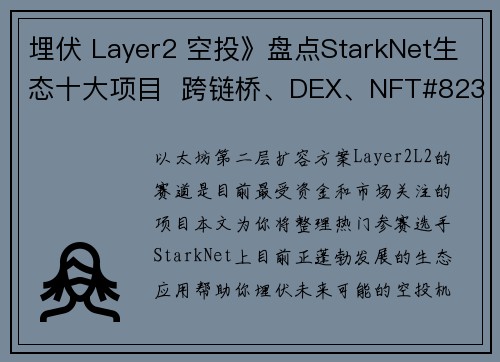 埋伏 Layer2 空投》盘点StarkNet生态十大项目  跨链桥、DEX、NFT#8230